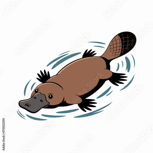 Platypus Swimming Illustration