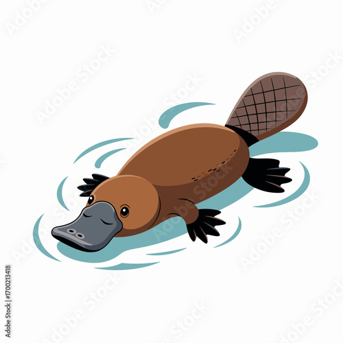 Platypus Swimming Illustration