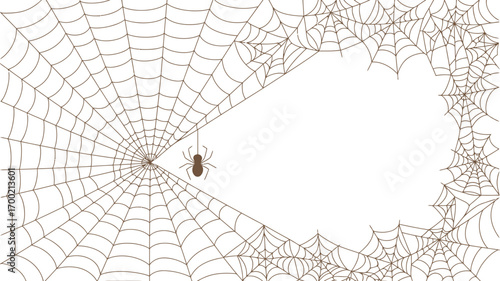 A spider web with a spider hanging from it on a white background with multiple webs on the corners