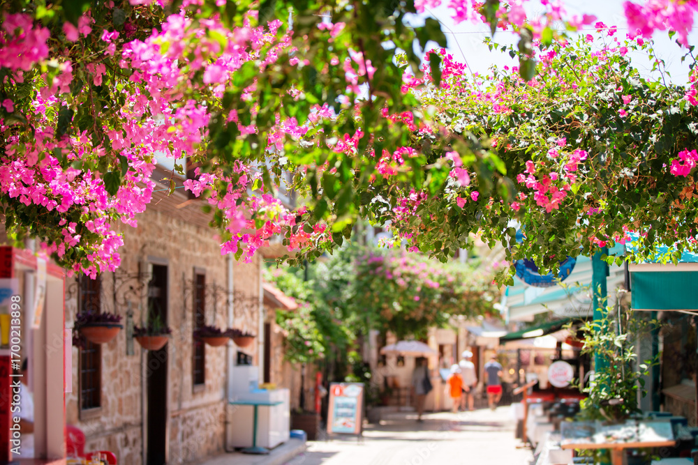 Fototapeta premium Vibrant street filled with blooming bougainvillea in a quaint coastal village on a sunny day
