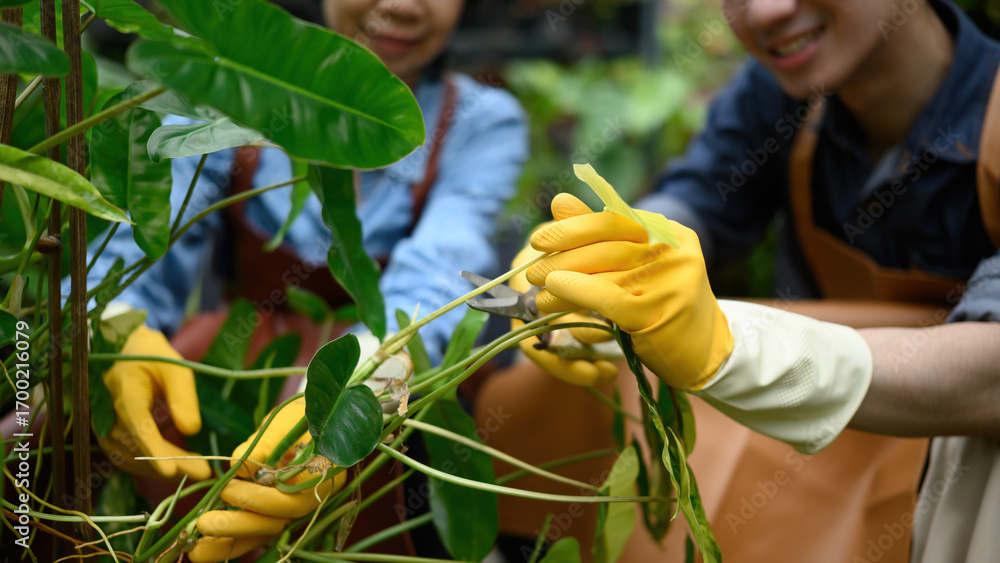 Obraz premium Close-up of mother and son pruning green plants together, teamwork in gardening and family business