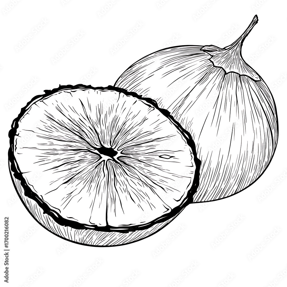 Obraz premium Coconut Fruit Coloring Page Bold Outline Uncolored