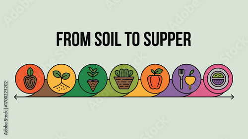 Illustration showing the process from seed to plate with various fruits and vegetables icons in circles