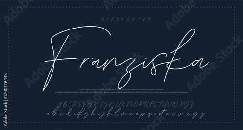 signature Font Calligraphy Logotype Script Brush Font Type Font lettering handwritten 