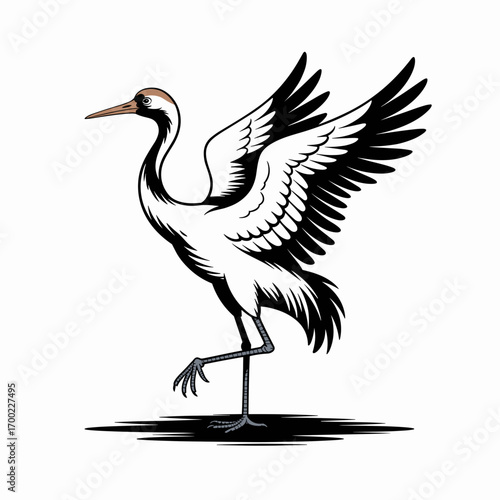 Elegant Crane Standing on One Leg Illustration