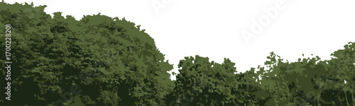 Green Tree Canopy Vector Landscape Border