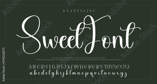 Signature script lettering font 