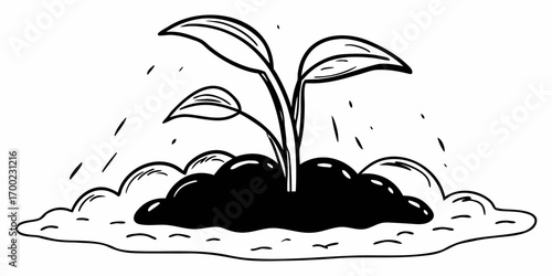 A young plant sprouts from dark soil with three leaves under a light rain in a black and white drawing