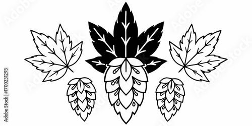 Illustration of maple leaves and hop cones in black and white line art style, symmetrical arrangement
