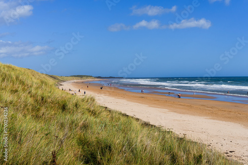 High on the sand dunes at Druridge bay, Northumberland.