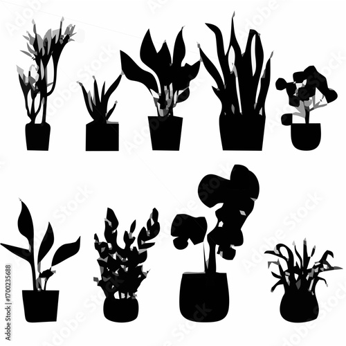 Houseplant Silhouettes.eps