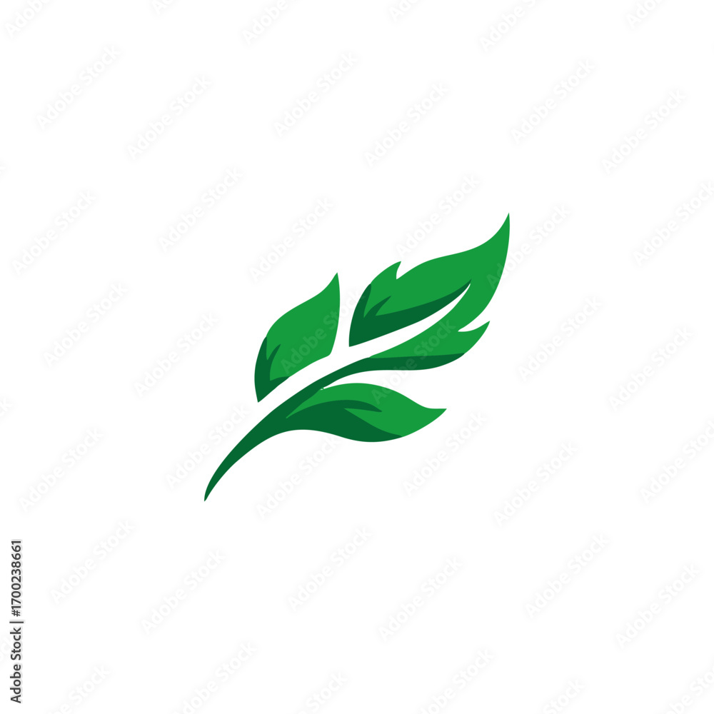 Fototapeta premium green leaf isolated on white