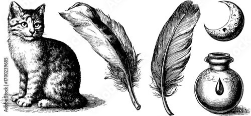 Vintage art noir illustration set: cat, feathers, moon, and inkwell sketch