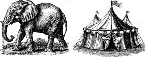 Vintage circus scene with elephant and tent in engraving style for retro design