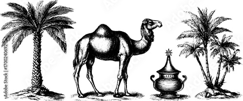 Eastern mystic scene with camel and palms in vintage engraving style