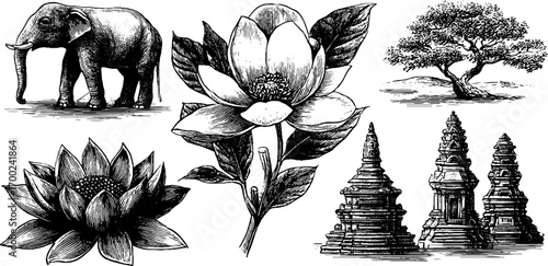 Indian grace: vintage engraving style with elephant, lotus, and temples