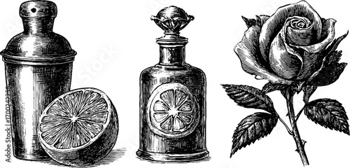 Vintage luxury bar elements in engraving style featuring cocktail shaker, citrus, and rose