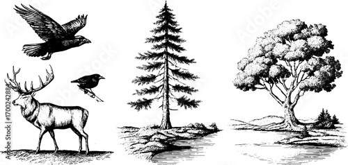 Nordic nature landscape with wildlife and trees in vintage engraving style
