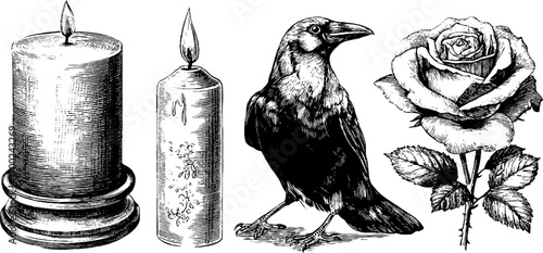 Mystical tarot symbols: crow, roses, and candles in vintage engraving style for design use