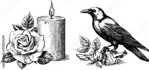 Mystical tarot symbols with candle and raven in vintage engraving style
