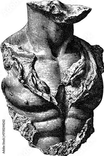 Antique bust fragment in vintage engraving style for artistic interpretation and design