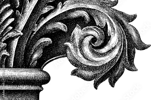 Vintage art nouveau style engraving of ornate leaf design for decorative use
