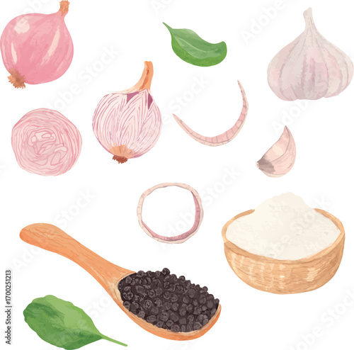Vector watercolor illustration set of onion, onion rings, red onion, black pepper, sour cream, mascarpone, fresh basil leaves, and garlic bulb