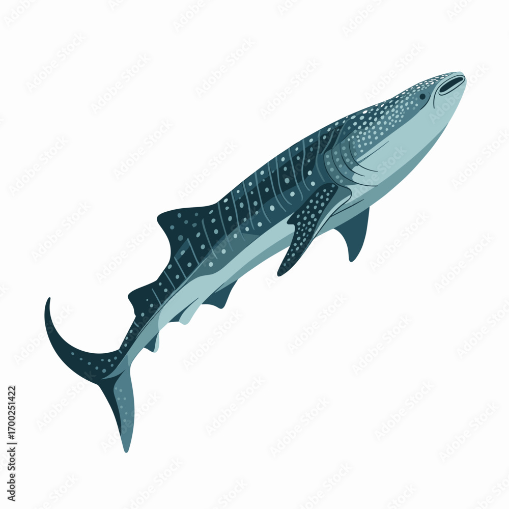 Obraz premium Whale Shark Swimming Illustration