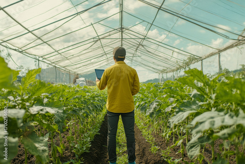 Bright sunlight illuminates a farmer standing among vibrant green crops inside a large protective greenhouse, using a digital tablet for smart agricultural management.