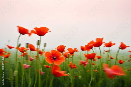 Dynamic image of red poppies in motion blur, highlighting vivid petals and green stems with a soft natural background.
