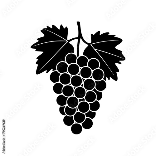 Fresh black grapes cluster with vibrant leaves perfect for vineyard and wine branding designs.