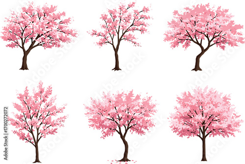 Cherry blossom tree vector set with pink flowers, seasonal spring botanical illustration, Japanese sakura art for design, decor, and backgrounds