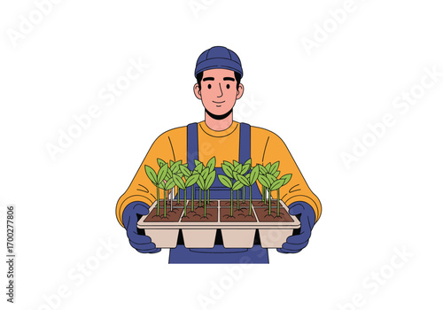 Gardener holding tray of young plants ready for planting outdoors