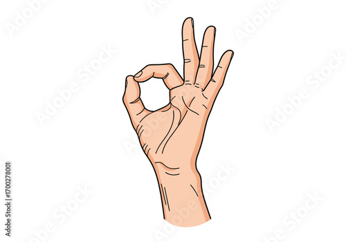 Hand gesture representing success approval and everything is fine