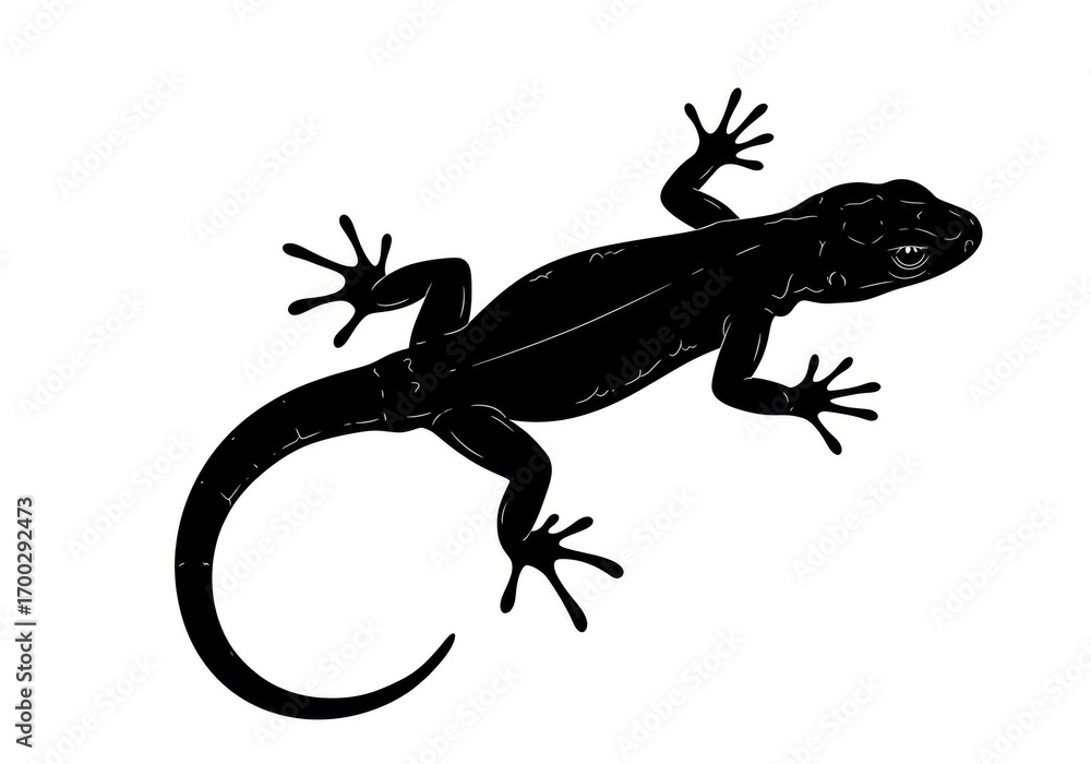 Naklejka premium A lizard with spread legs and tail, shown crawling in silhouette.