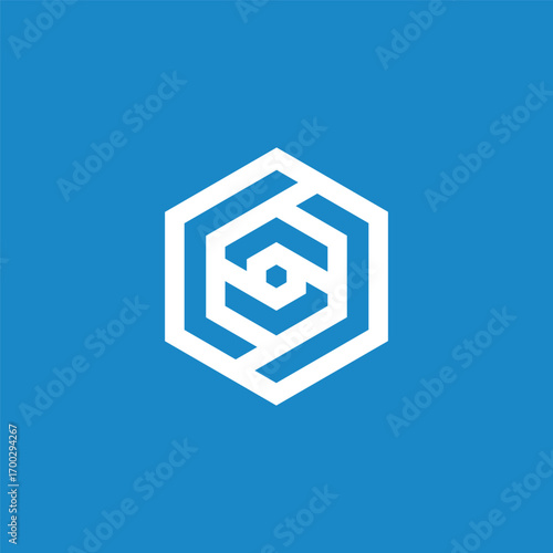 Abstract Geometric Hexagon Logo Design Vector Template