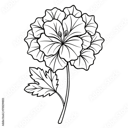 vector illustration of a flower line art