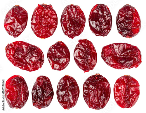 Dried Cranberries in Neat Grid, Top-Down View, Transparent PNG
