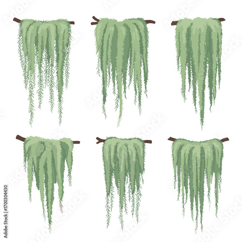Collection of hanging green mossy vines with wooden branches vector illustration