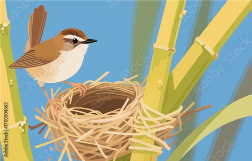 Bird close-up vector image