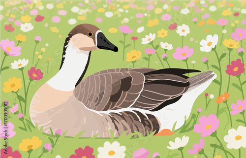 Bird close-up vector image