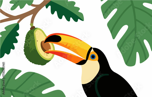 Bird close-up vector image