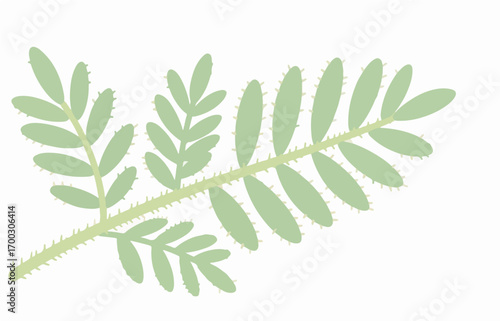 Plant close-up vector image