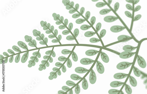 Plant close-up vector image