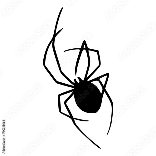 black widow spider