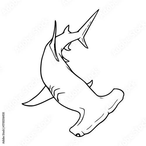 hammerhead shark, sea animal vector illustration