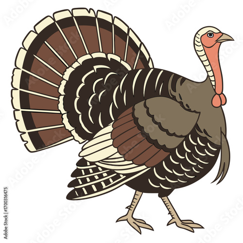 Realistic Turkey Side Profile Vector

