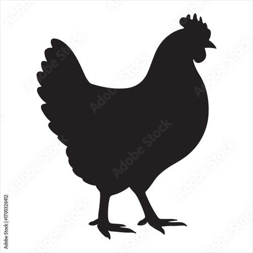 Black silhouette of a chicken standing on a white background isolated