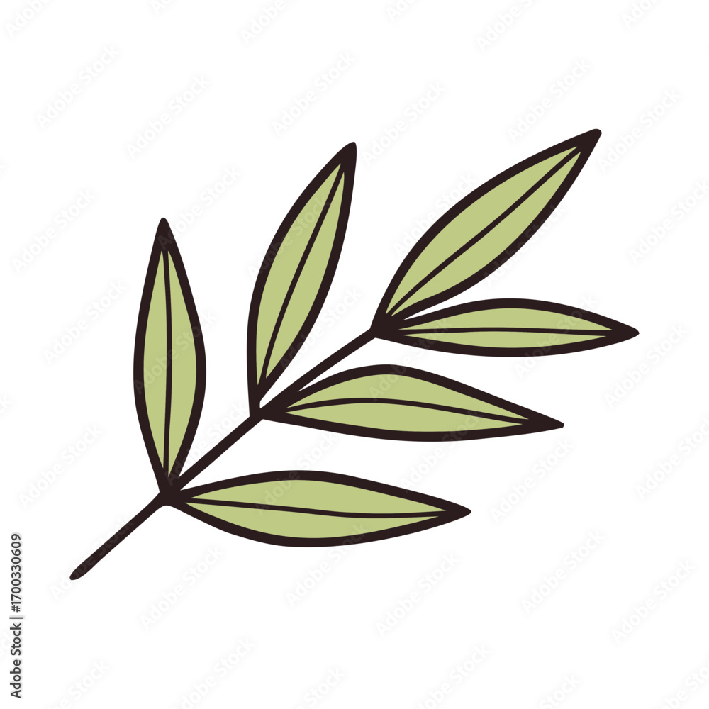 Fototapeta premium A simple hand drawn illustration of a light green leaf branch with dark outlines isolated on transparent background