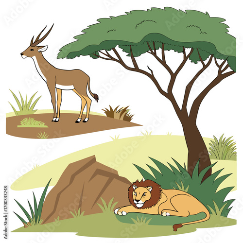 African savanna wildlife scene with lion and antelope african savanna